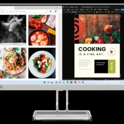 Lenovo Monitor L24i-40 Monitor.